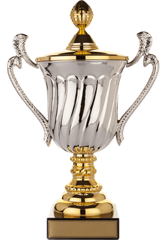 trophies_02 https://dqr-management.raphaeldarbellay.ch/wp-content/uploads/2022/10/trophies_02.png