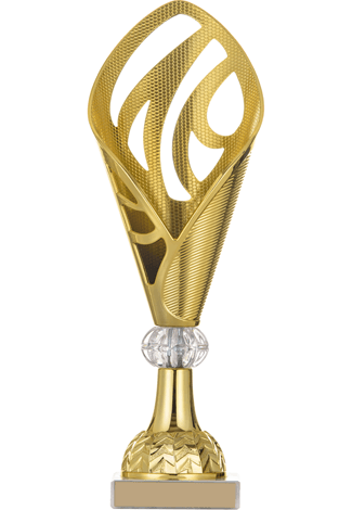 trophies_03 https://dqr-management.raphaeldarbellay.ch/wp-content/uploads/2022/10/trophies_03.png
